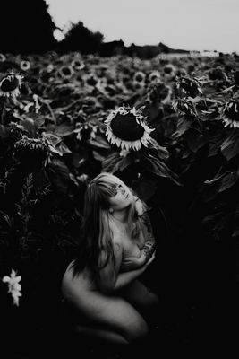 bloom in the sun 2 / Mood  photography by Photographer Gwen | STRKNG