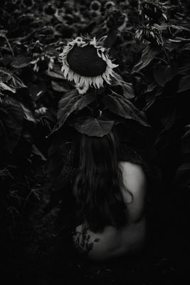 bloom in the sun. / Mood  photography by Photographer Gwen | STRKNG