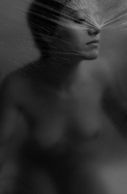 Trasparenze / Schwarz-weiss  Fotografie von Fotografin Cristiana Zamboni ★10 | STRKNG