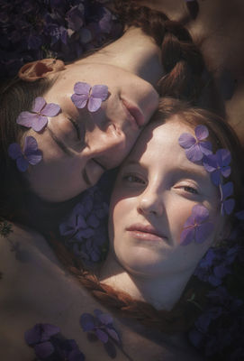 Ortensie viola al tramonto / Portrait  photography by Photographer Cristiana Zamboni ★9 | STRKNG