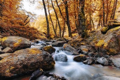 autumn journey / Landscapes  Fotografie von Fotograf Aslan Vaezi ★1 | STRKNG