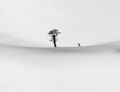 crossing / Fine Art  photography by Photographer Masoumeh rahimi ★1 | STRKNG