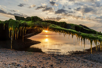 Starry sun / Landscapes  Fotografie von Fotografin Zari ★2 | STRKNG