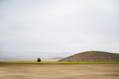 Alone tree / Landscapes  Fotografie von Fotografin Zari ★2 | STRKNG