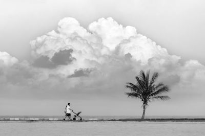 Root / Black and White  photography by Photographer Zari ★2 | STRKNG