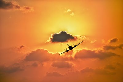 Flying Show / Travel  photography by Photographer mory_net ★1 | STRKNG