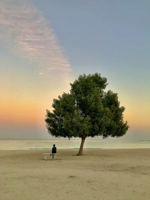 lonely / Landscapes  photography by Photographer mojgan sheykhi | STRKNG