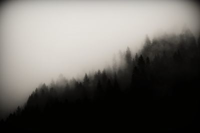 foggy afternoon / Natur  Fotografie von Fotograf *di-ma* | STRKNG