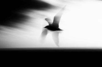 Lost &amp; Found / Natur  Fotografie von Fotograf Dirk M. Franke ★1 | STRKNG