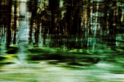 Passing by ... / Natur  Fotografie von Fotograf Dirk M. Franke ★1 | STRKNG