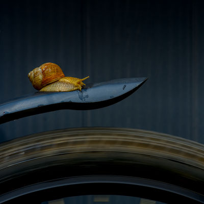 Fast vs. slow / 2025-07-20 Fast vs. slow / Kreativ Fotografie von Fotograf Franz Hein | STRKNG
