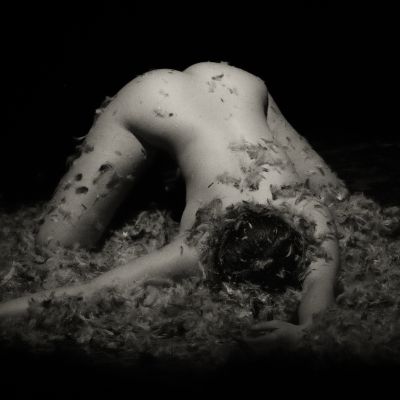 Feathered / Nude  photography by Photographer Clint | STRKNG