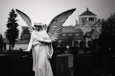 Allerseelen / 2020 / Black and White  photography by Photographer Christian Greller ★1 | STRKNG