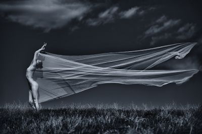 Gone by the wind / Fine Art  photography by Photographer Aperture22 | STRKNG