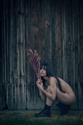 Dry Flowers / Nude  photography by Photographer Aperture22 | STRKNG