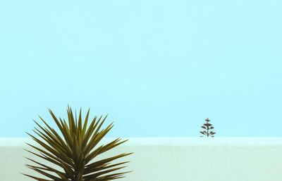 Lonely Trees / Abstract  photography by Photographer s. monreal ★4 | STRKNG