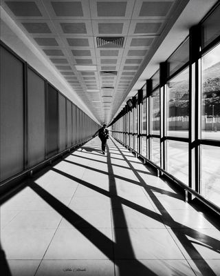 Running / Black and White  photography by Photographer Artin Darvishi ★1 | STRKNG