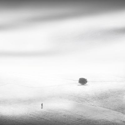 Encounter / Kreativ  Fotografie von Fotograf Artin Darvishi ★3 | STRKNG