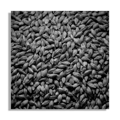 this GRAIN / Natur  Fotografie von Fotograf Lutz Ulrich ★1 | STRKNG