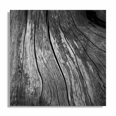 this ONE wood / Natur  Fotografie von Fotograf Lutz Ulrich ★1 | STRKNG