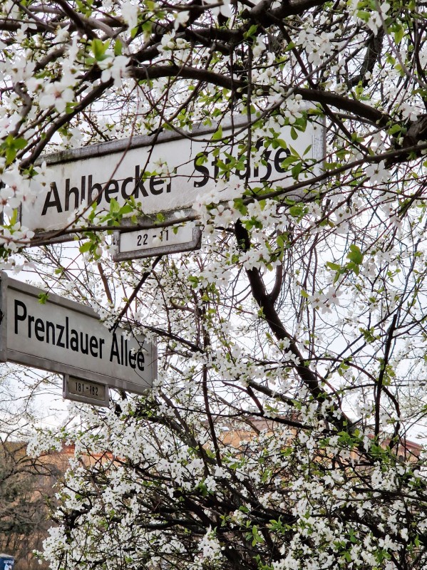 Prenzlauer Allee - Ahlbecker Straße - &copy; Marc leppin | Stadtlandschaften