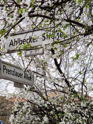 Prenzlauer Allee - Ahlbecker Straße / Stadtlandschaften  Fotografie von Fotograf Marc leppin ★1 | STRKNG