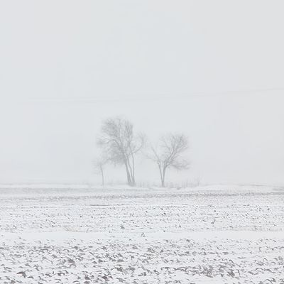 Snow / Fine Art  Fotografie von Fotograf Pix_world MRG | STRKNG