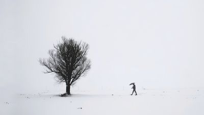 Snow / Black and White  photography by Photographer Pix_world MRG | STRKNG