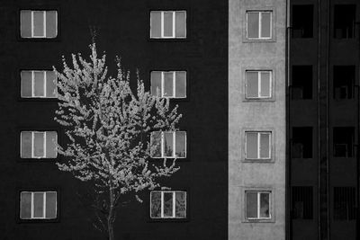 404444 / Architektur  Fotografie von Fotograf Arvin ★3 | STRKNG