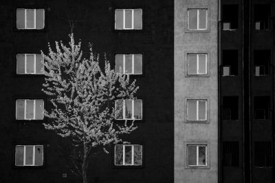 404444 / Black and White  photography by Photographer Arvin | STRKNG