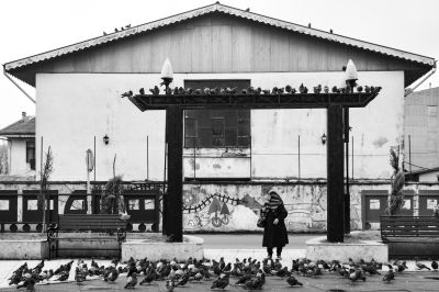 Surrounded by pigeons / Street  Fotografie von Fotograf Arvin | STRKNG