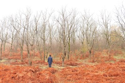 color and fog / Fine Art  Fotografie von Fotografin Arezoo Arianpour ★3 | STRKNG