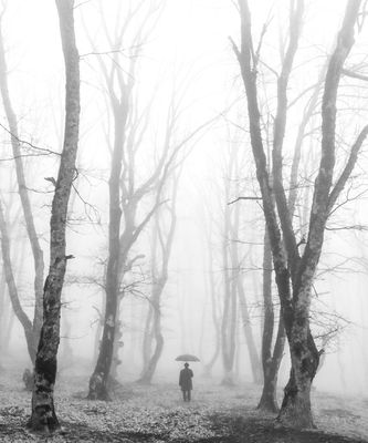 Drowned in the fog Drowned in the fog / Stimmungen Fotografie von Fotografin Arezoo Arianpour ★2 | STRKNG
