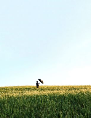 The Gentle Divide The Gentle Divide / Fine Art photography by Photographer Arezoo Arianpour ★1 | STRKNG