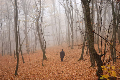 Misty autumn morning / Fine Art  Fotografie von Fotografin Arezoo Arianpour ★3 | STRKNG