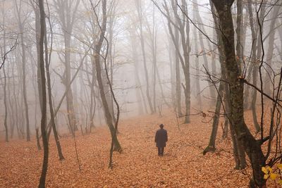 Foggy day / Fine Art  photography by Photographer Arezoo Arianpour ★3 | STRKNG