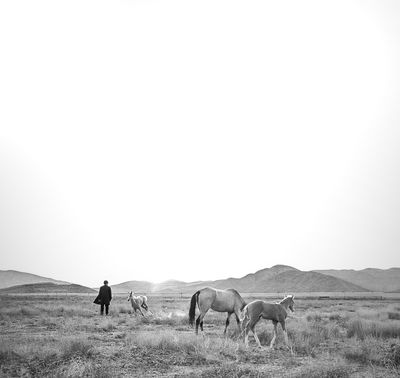 Freedom in the Final Light / 2025-06-10 Freedom in the Final Light / Conceptual photography by Photographer Arezoo Arianpour ★1 | STRKNG