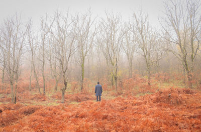 Alone in the fog / Fine Art  photography by Photographer Arezoo Arianpour ★3 | STRKNG