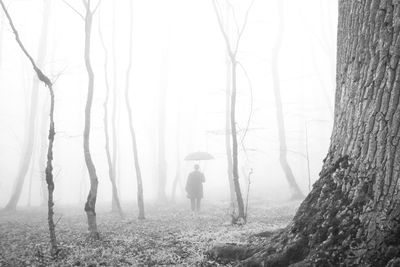 Alone with nature Alone with nature / Mood photography by Photographer Arezoo Arianpour ★2 | STRKNG