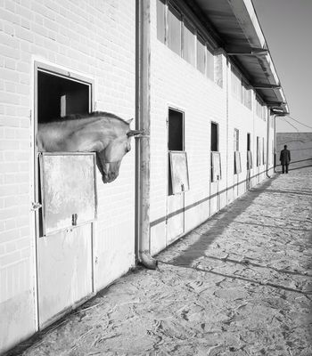We Both Wait / 2025-06-01 We Both Wait / Conceptual photography by Photographer Arezoo Arianpour ★1 | STRKNG