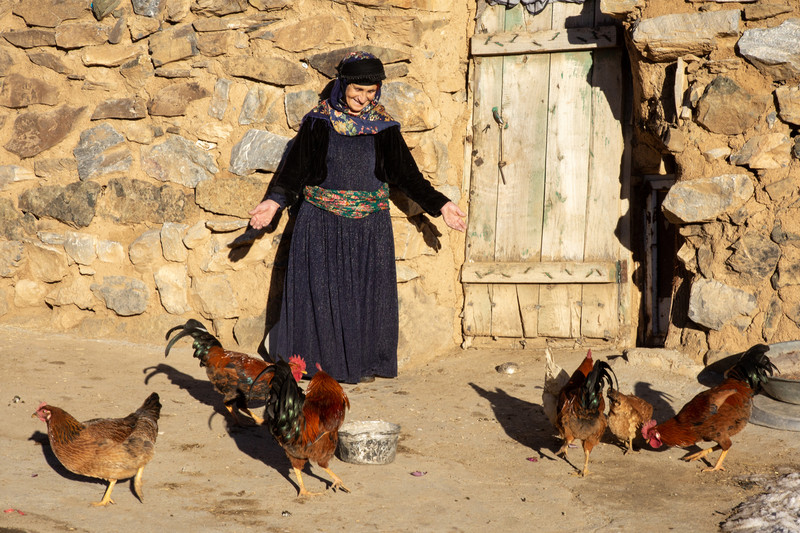 Feeding the roosters - &copy; FarbodBavehie | Dokumentation