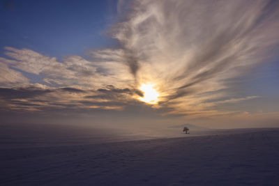 Tree / Nature  photography by Photographer FarbodBavehie ★1 | STRKNG