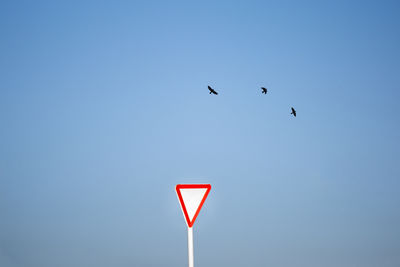 Right of way with birds / Fine Art  photography by Photographer FarbodBavehie ★1 | STRKNG