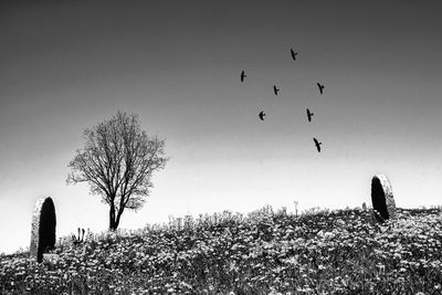 death and life / Konzeptionell  Fotografie von Fotograf FarbodBavehie | STRKNG