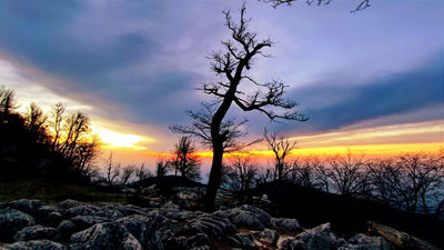 Landscapes  photography by Photographer hamed yazarloo | STRKNG