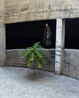 Growing / Still-Leben  Fotografie von Fotograf Horos | STRKNG