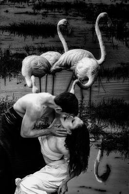 el beso / Portrait  photography by Photographer Jesus Diaz ★2 | STRKNG