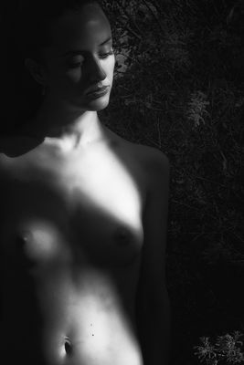 Ninfa del bosque / Portrait  Fotografie von Fotograf Jesus Diaz ★2 | STRKNG