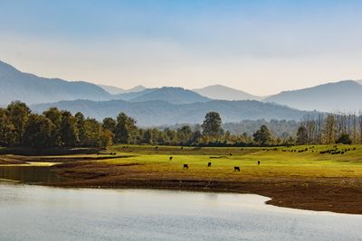 Landscapes  Fotografie von Fotografin Noora Aghdasi | STRKNG