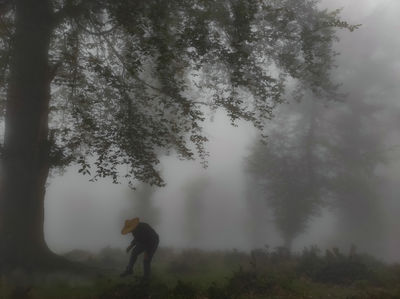 fog / Landscapes  photography by Photographer ایران توریسم | STRKNG